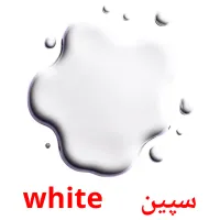 سپین     white карточки энциклопедических знаний