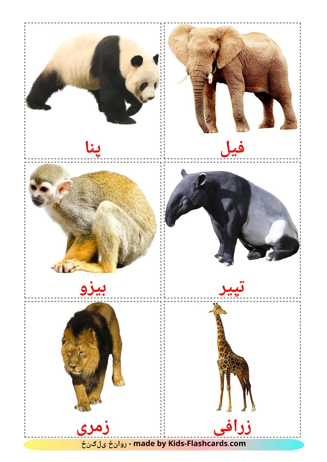 Jungle animals - 22 Free Printable koreaanse Flashcards 