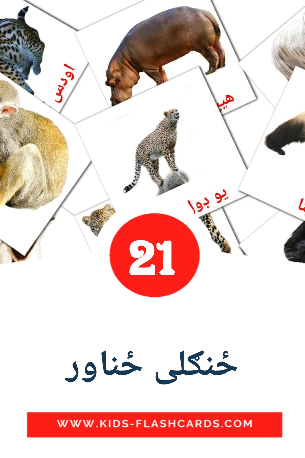 21 ځنګلی ځناور Picture Cards for Kindergarden in pashto