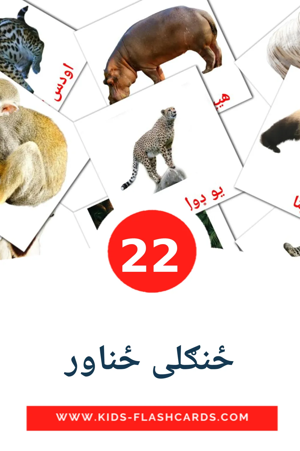 22 ځنګلی ځناور Picture Cards for Kindergarden in koreaanse