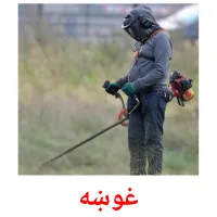 غوښه billedkort for børn med billeder