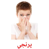 پرنجي billedkort for børn med billeder