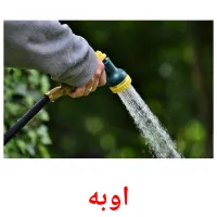 اوبه cartões com imagens