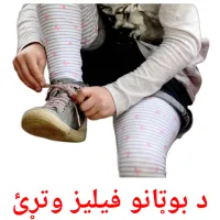 د بوټانو فیلیز وتړئ cartões com imagens