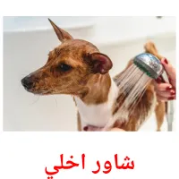 شاور اخلي cartões com imagens