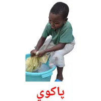 پاکوي cartões com imagens