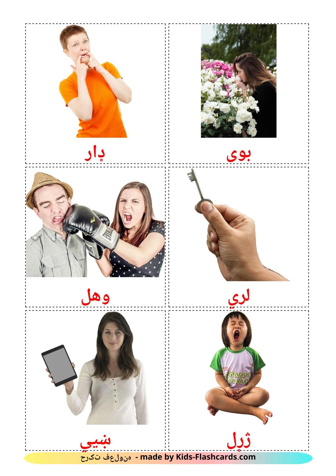 Les Verbes d'États - 24 Cartes de vocabulaire pashto imprimables gratuitement