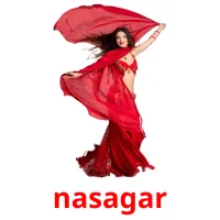 nasagar picture flashcards