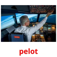 pelot picture flashcards