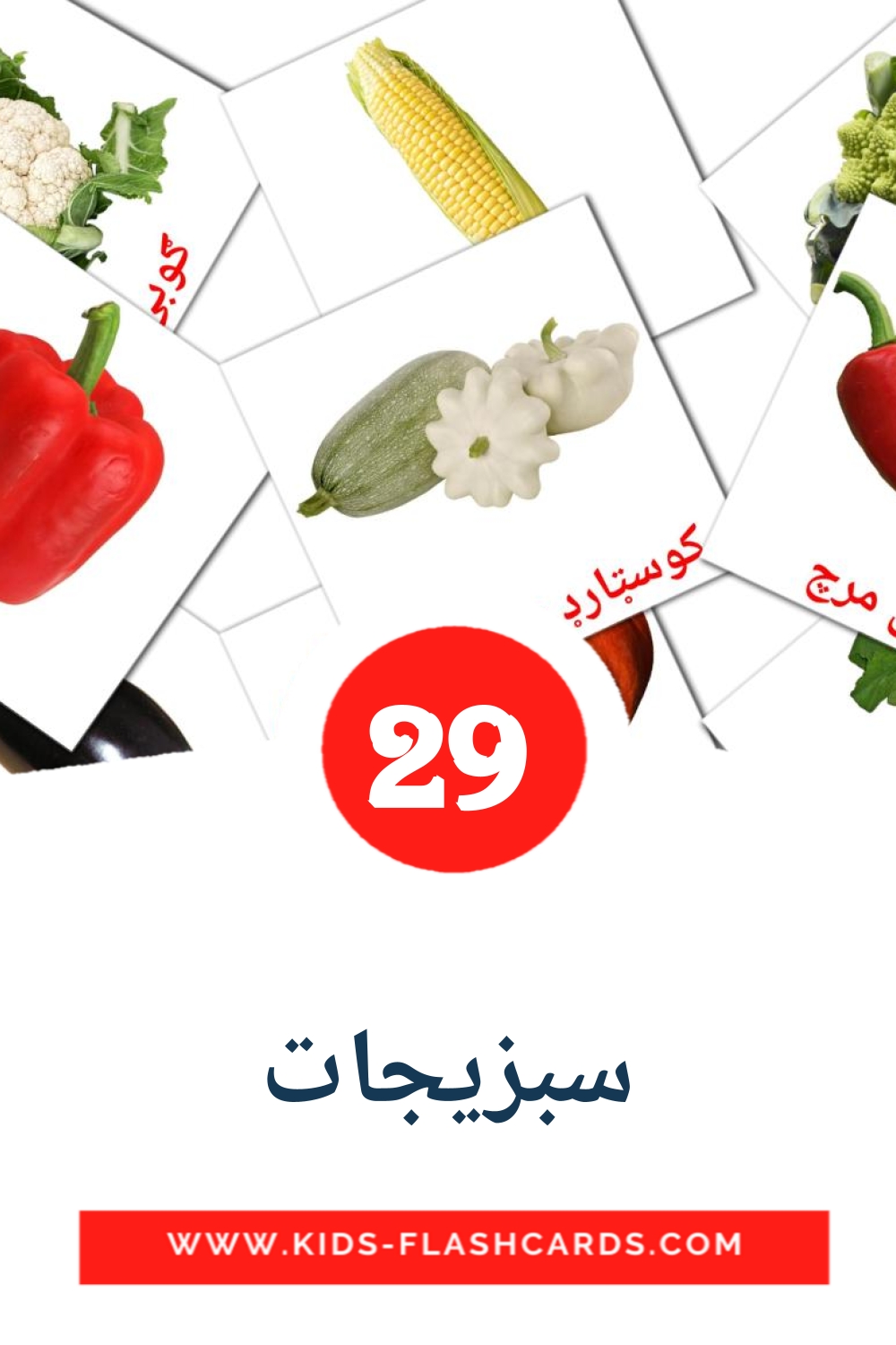 29 سبزیجات Picture Cards for Kindergarden in pashto