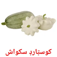 کوسټارډ سکواش ansichtkaarten