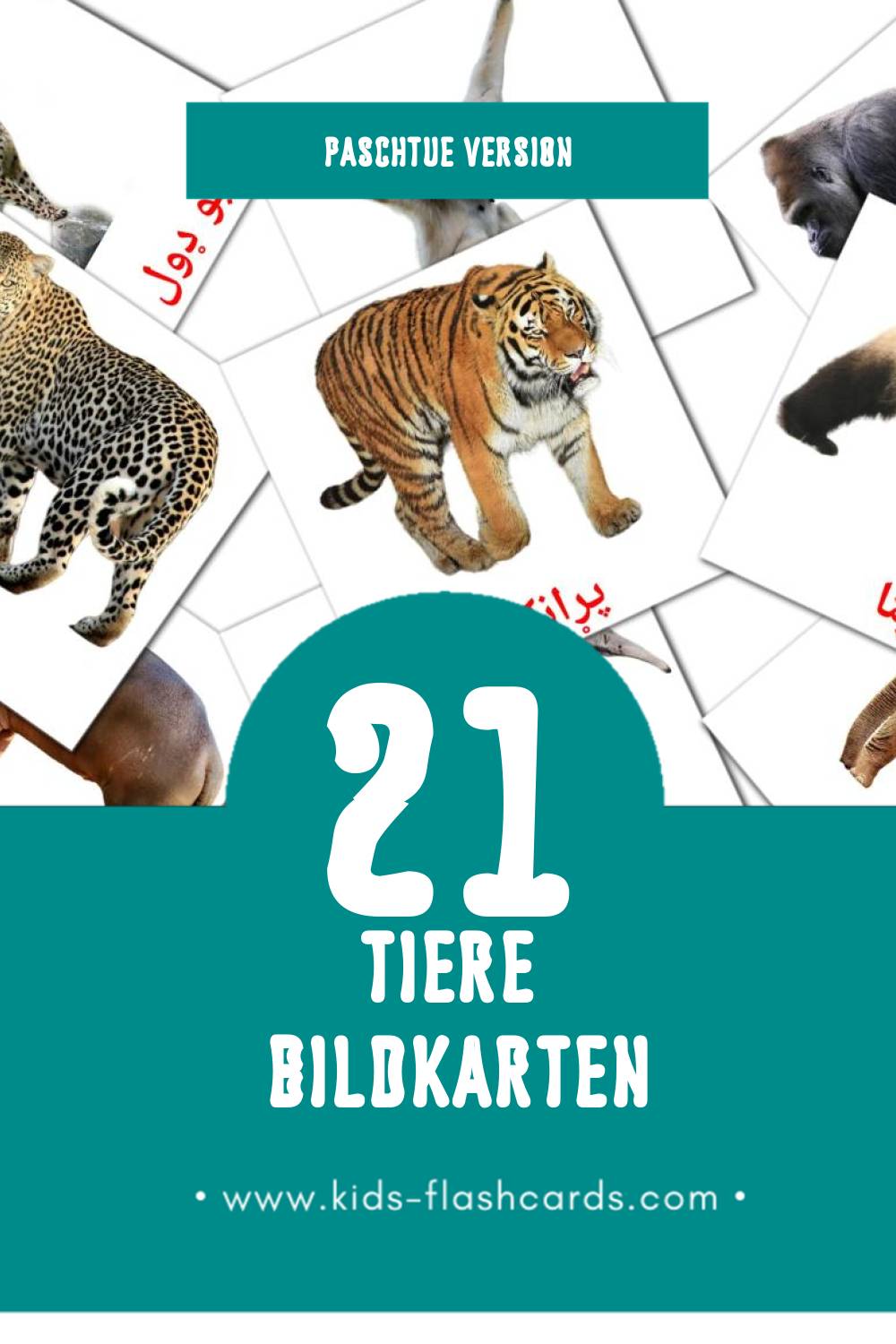 Visual ځناور Flashcards für Kleinkinder (21 Karten in Paschtu)