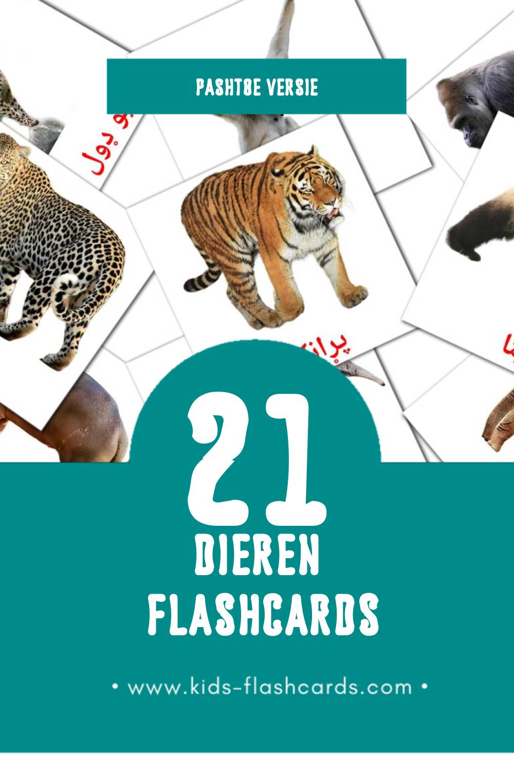 Visuele ځناور Flashcards voor Kleuters (21 kaarten in het Pashto)