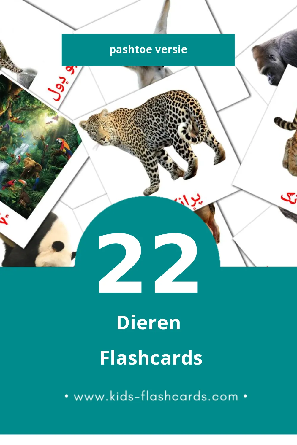 Visuele ځناور Flashcards voor Kleuters (22 kaarten in het Pashto)