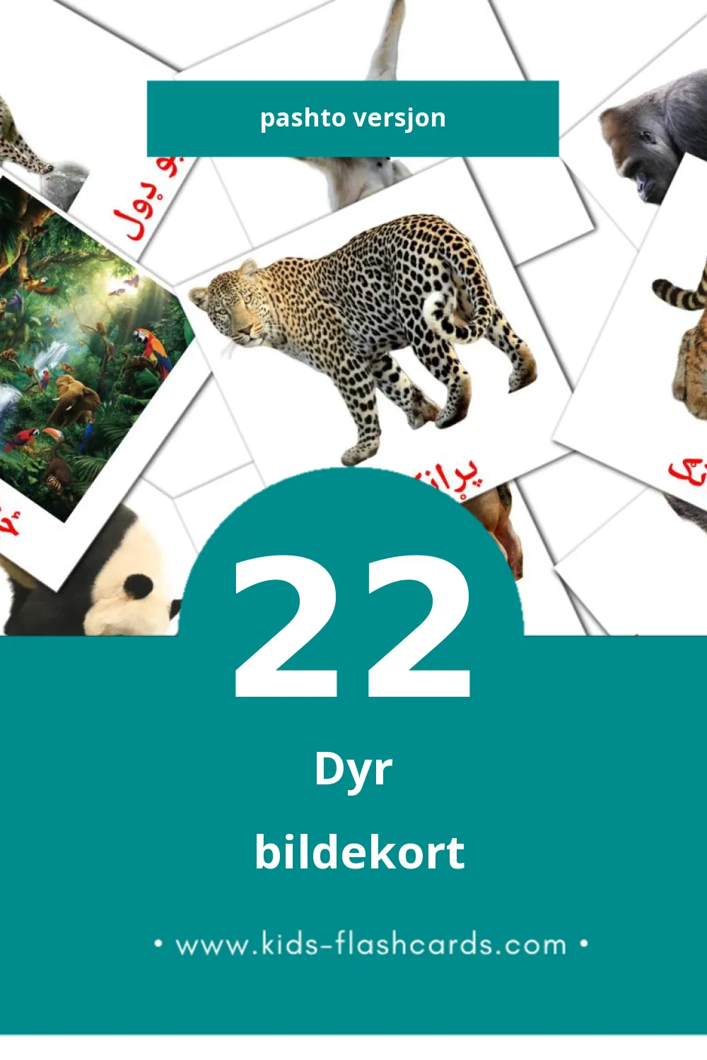 Visuelle ځناور bildekort for småbarn (22 kort på Pashto)
