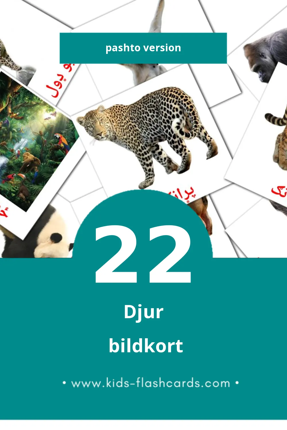Visuella ځناور för småbarn (22 bildkort för barn på Pashto)