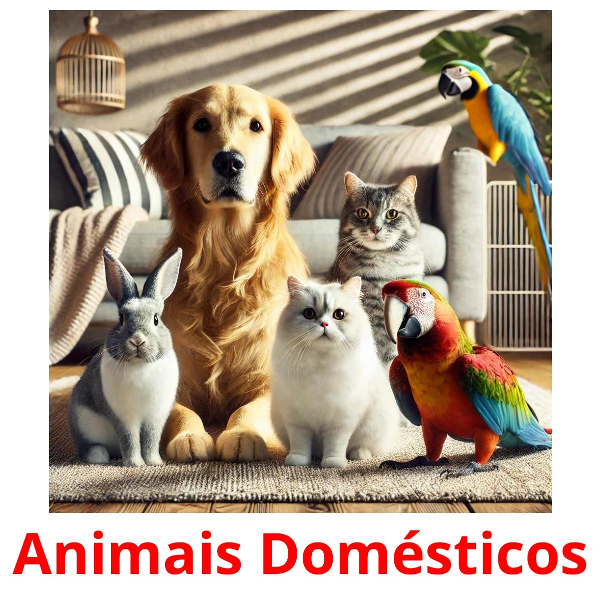 Animais Domésticos picture flashcards