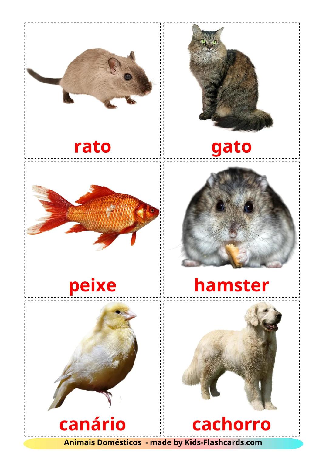 Animais Domésticos  - 11 Flashcards portuguêses gratuitos para impressão