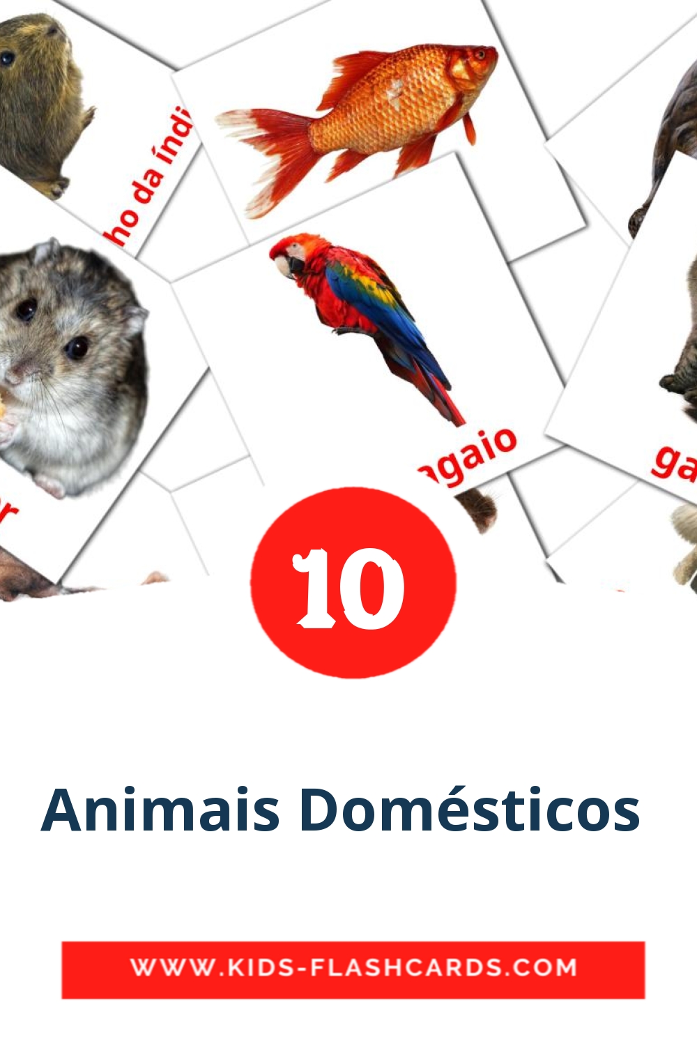 10 Animais Domésticos  Picture Cards for Kindergarden in португальском