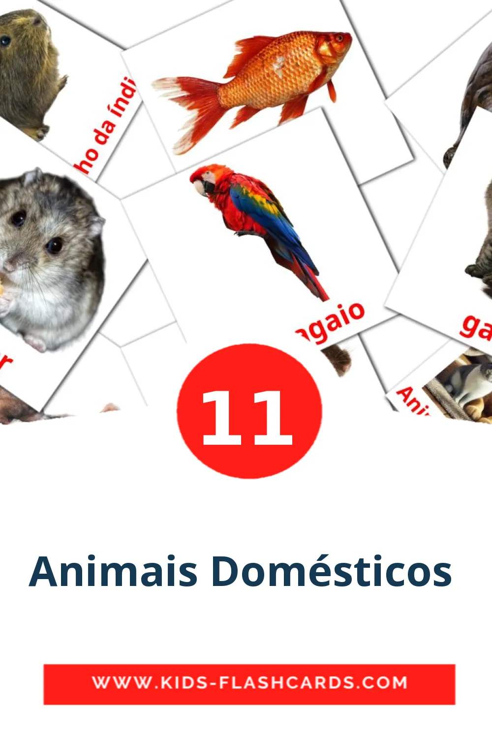 11 Cartões com Imagens de Animais Domésticos  para Jardim de Infância em português