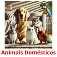 Animais Domésticos cartões com imagens