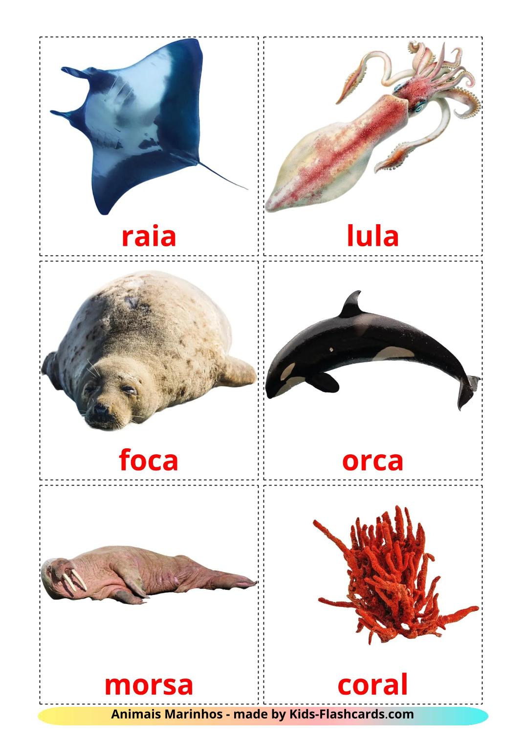 Animais Marinhos - 30 Flashcards portuguêses gratuitos para impressão