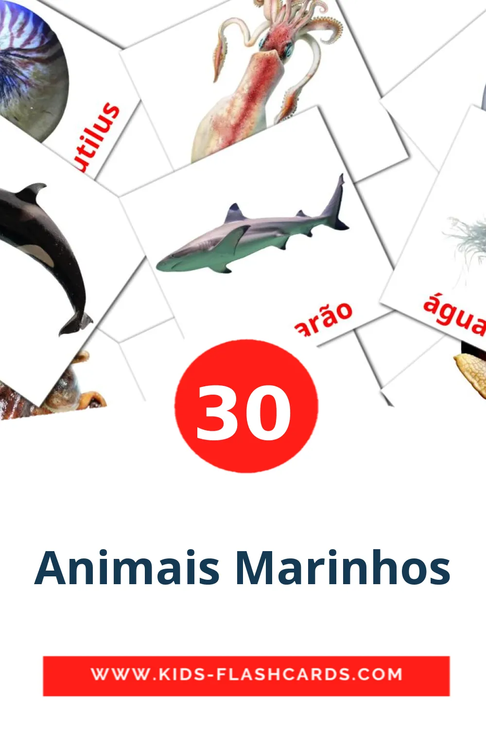 30 Cartões com Imagens de Animais Marinhos para Jardim de Infância em português