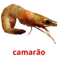 camarão cartões com imagens