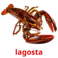 lagosta picture flashcards