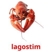 lagostim ansichtkaarten