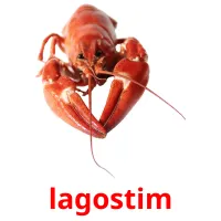 lagostim cartões com imagens