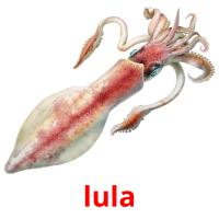 lula flashcards illustrate