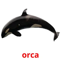 orca cartões com imagens