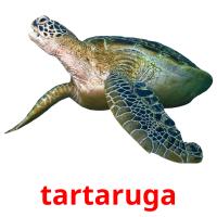 tartaruga cartões com imagens