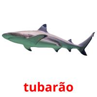 tubarão Tarjetas didacticas