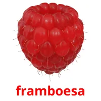 framboesa cartões com imagens