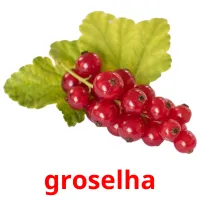 groselha Tarjetas didacticas