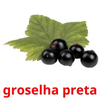 groselha preta Tarjetas didacticas