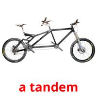 a tandem picture flashcards