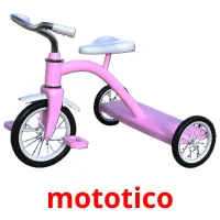 mototico picture flashcards