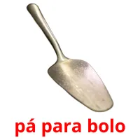 pá para bolo Bildkarteikarten