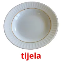 tijela Bildkarteikarten