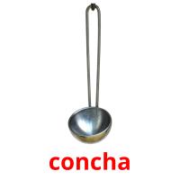 concha card for translate