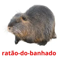 ratão-do-banhado cartões com imagens
