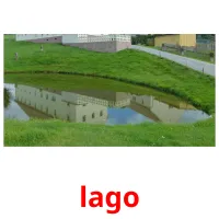 lago cartões com imagens