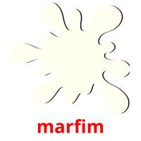 marfim picture flashcards