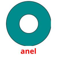 anel flashcards illustrate