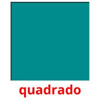 quadrado picture flashcards