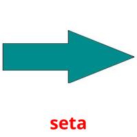 seta flashcards illustrate