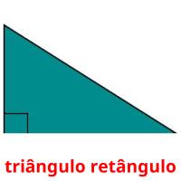 triângulo retângulo Bildkarteikarten